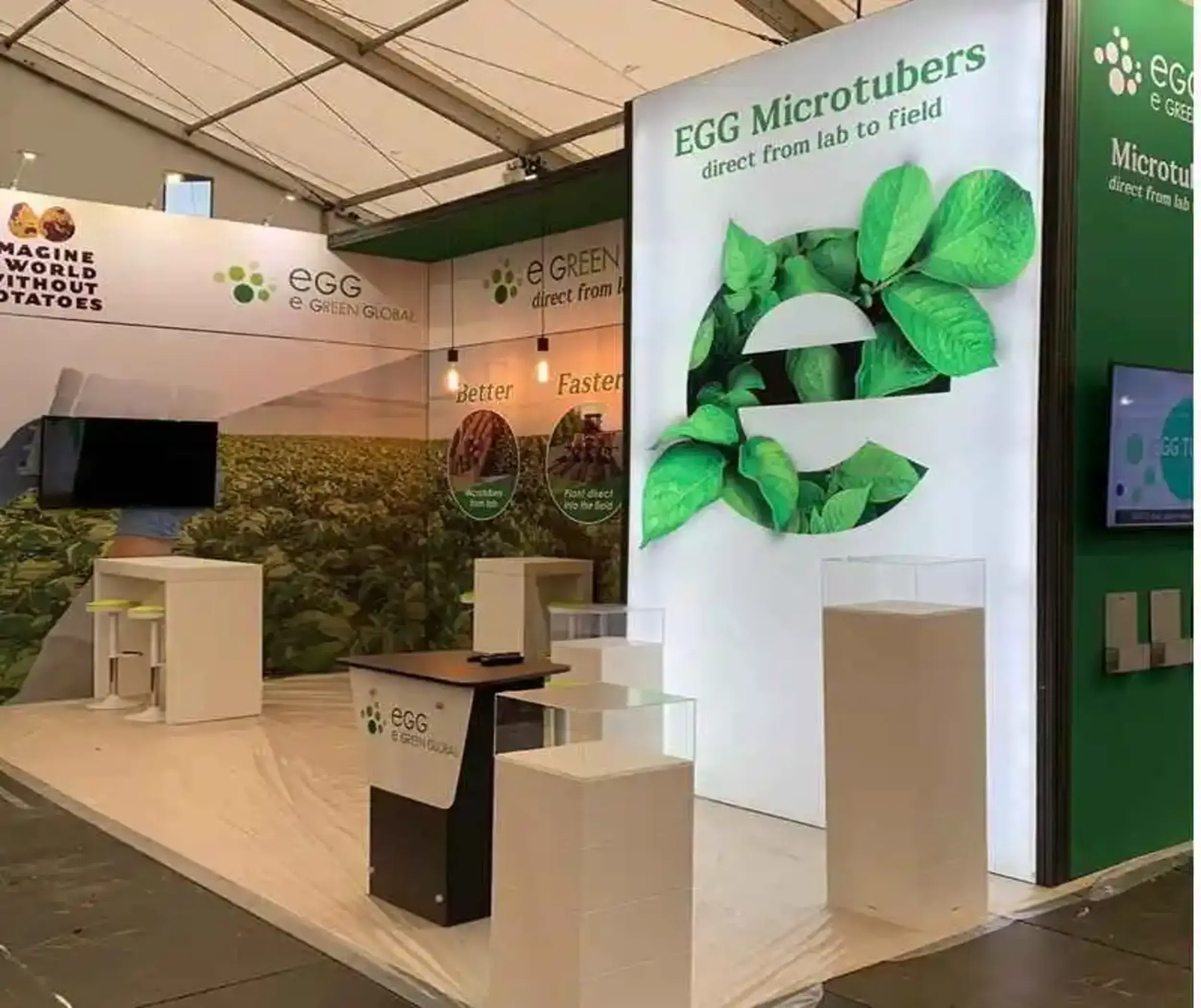 E Green Global eggtuber, standfoto 2019